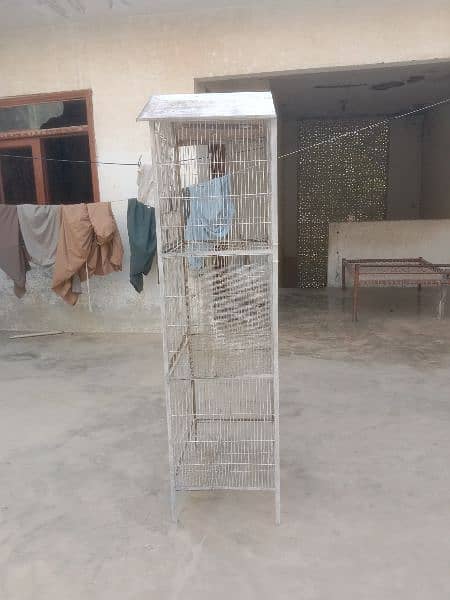 bird cage 1