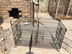 Birds cage for sale