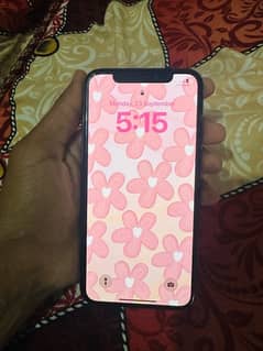 iPhone XS 64GB NON PTA factory unlock