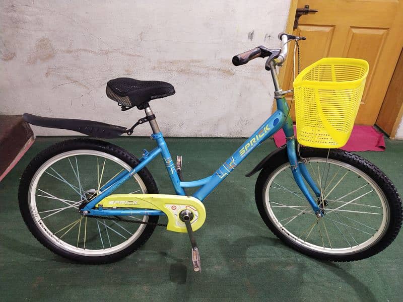 Bicycle 24" for Sale 11