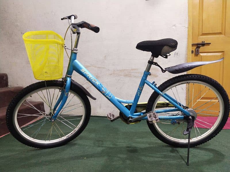 Bicycle 24" for Sale 12