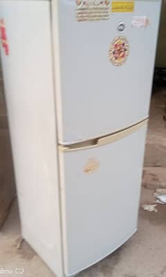 pell fridge medium for sell