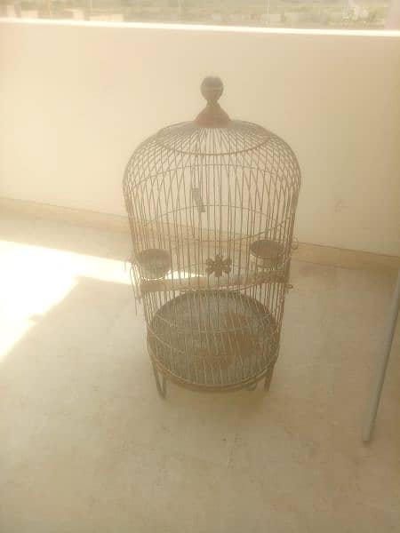 parrot cage 1