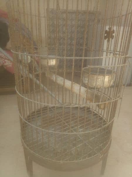 parrot cage 2