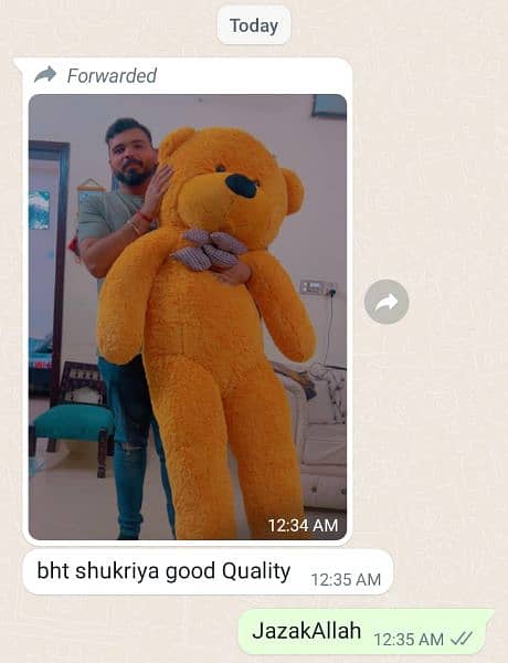 imported tedy bear gaint size 3 feet to 7 feet all sizes available 2