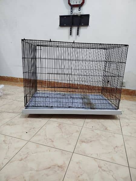 Birds cage 0