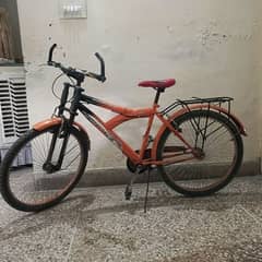 Well Maintained Full Size Bicycle 0