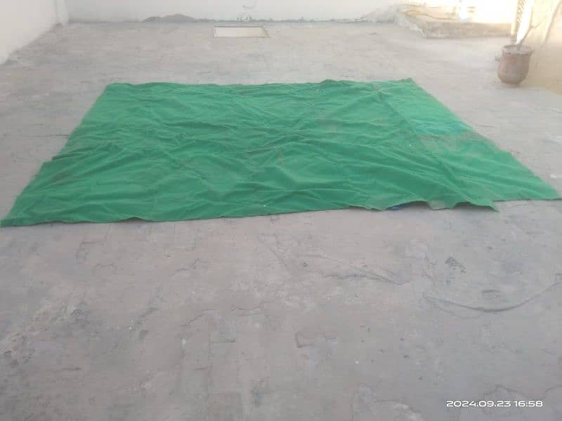 Green Color carpet for sale 1