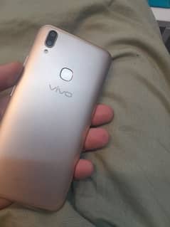 vivo