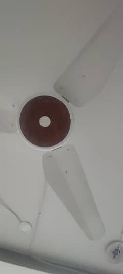 Used celling fans Available Each Fan 8000