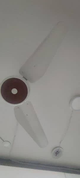 Used celling fans Available Each Fan 8000 1