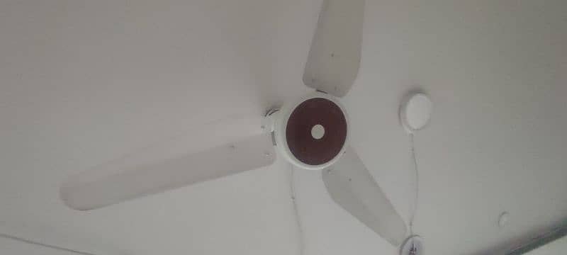 Used celling fans Available Each Fan 8000 3