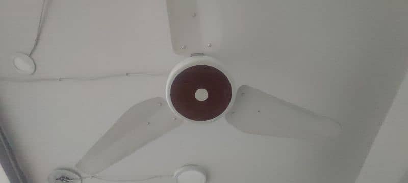 Used celling fans Available Each Fan 8000 4