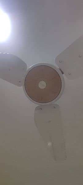 Used celling fans Available Each Fan 8000 9