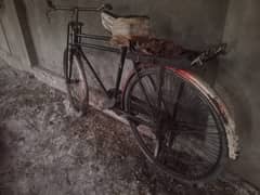 Bicycle Urgent Sale 0