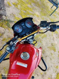 Suzuki ybr