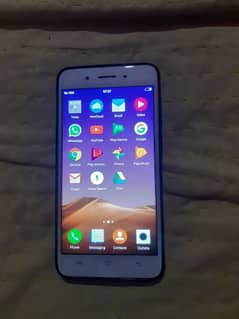 VIVO Y55A 4/64 NON PTA