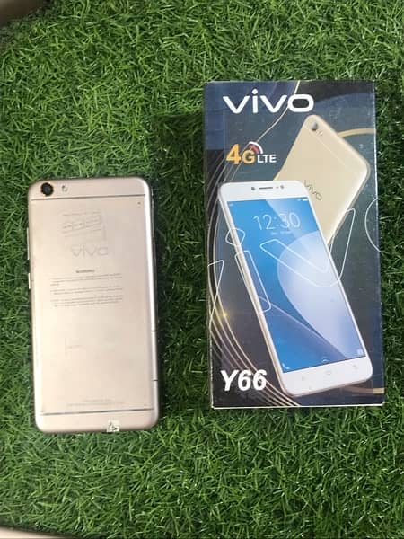 vivo Y66 3