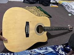 acoustic guitar with 4 extra strings