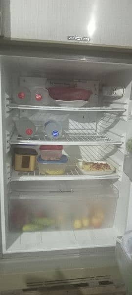 Pel fridge 2