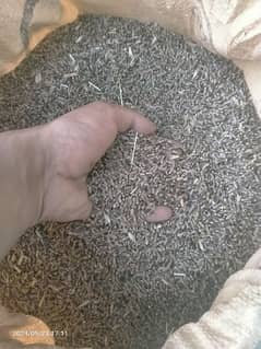 900/ pr kg Organic wheat(Black wheat)بلیک گندم