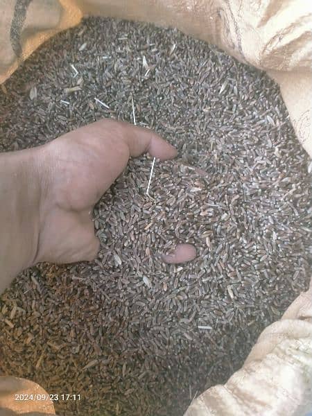 900/ pr kg Organic wheat(Black wheat)بلیک گندم 1