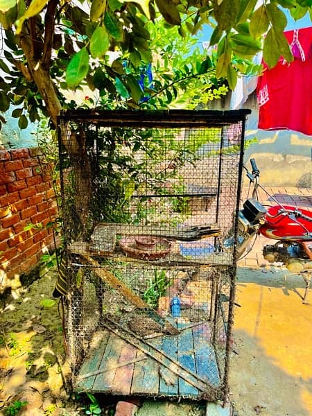 birds cages / pinjra  پنجرا 2