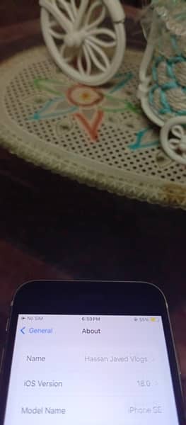 Iphone Se2020 with charger ios 18 installed 7