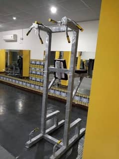 pullup stand pull up bar power tower dips dip station leg raise gym