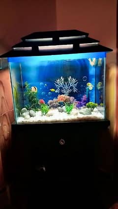 Aquarium