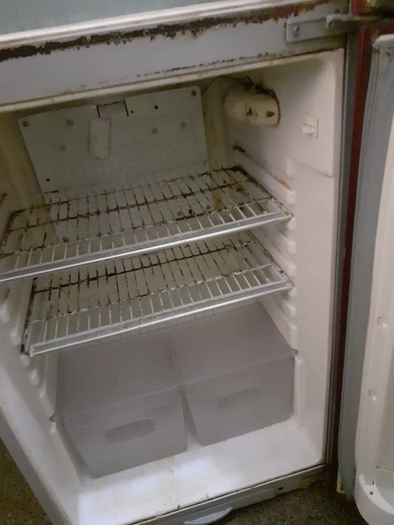 Orient medium size fridge urgently for sale 3