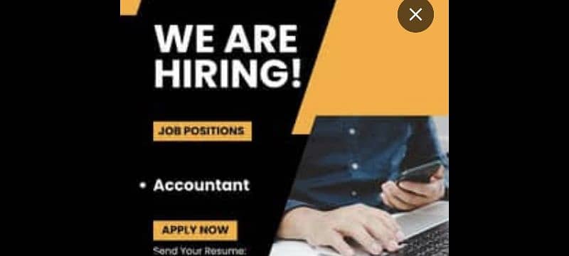 looking for professional accountant to manage accounts/ledgers 0