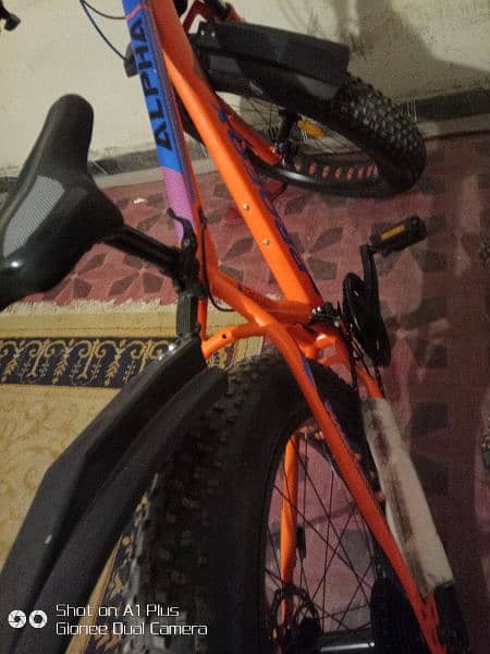 fat bike profox original 6