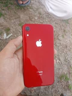 iPhone XR