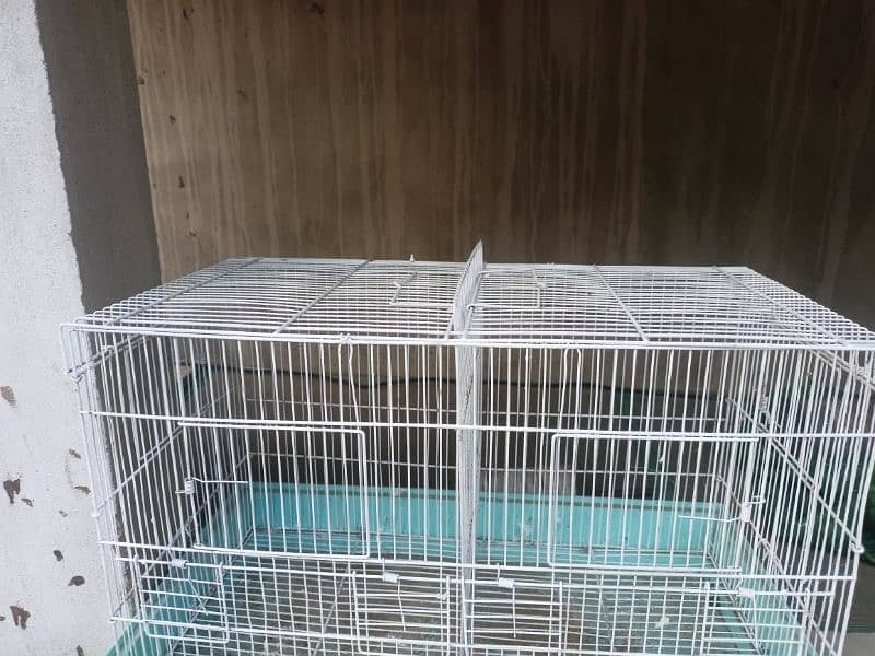 imported Canary partition cages 1