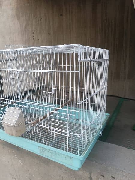 imported Canary partition cages 5