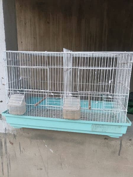 imported Canary partition cages 6