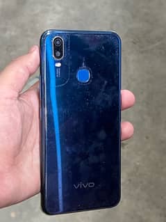 vivo