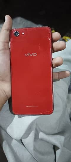 vivo