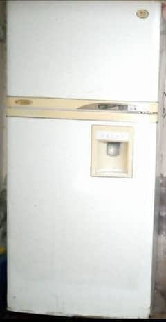 LG XL size fridge