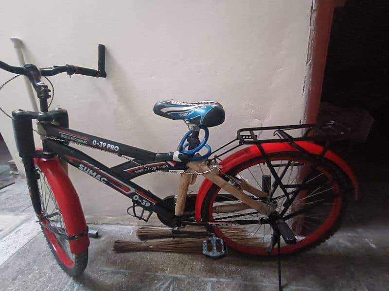 Bicycle Full Size Brand New 1