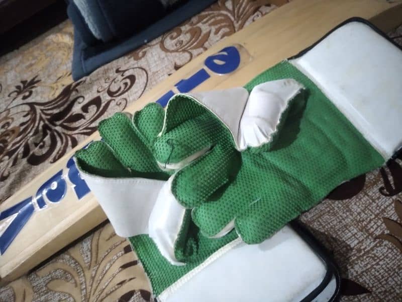 cricket keeping gloves best quality for 10 to 15 years old 5