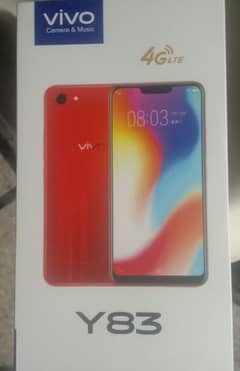 vivo