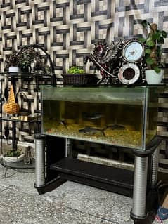 fish aquarium table with decoration pieces