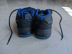 New Borjan Safety Shoes Unused Size 43