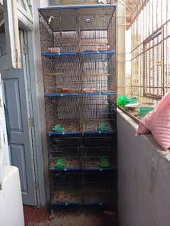 10 portion cage