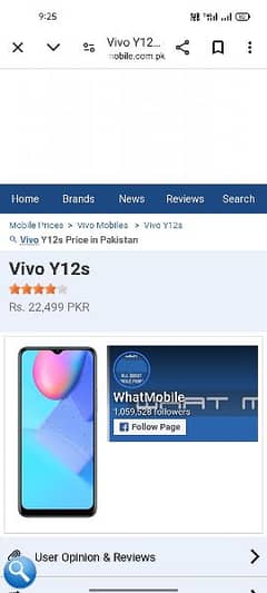 vivo