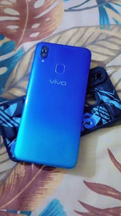 Vivo