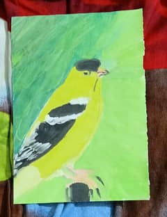 Birds & Cartoon Pantings for sale