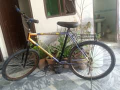 Phoenix bicycle good condition